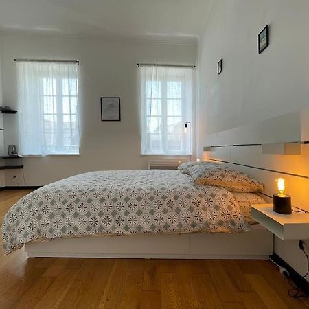 L'Appartement Tomey Avec Parking 卡尔卡松 外观 照片
